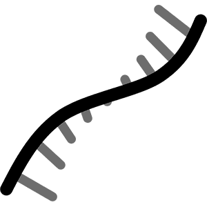 Transcriptome